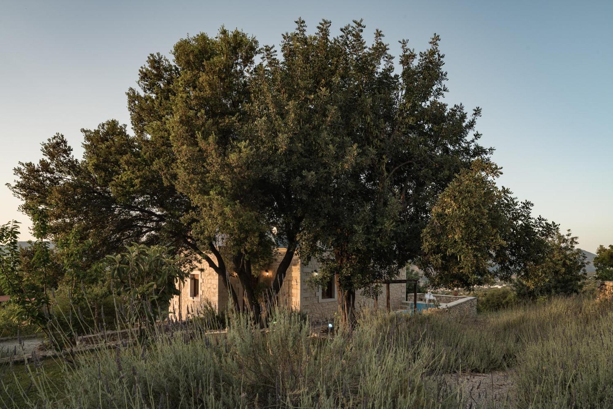 Koules Estate, With Private Pools & Bbq - Embracing Nature, By Thinkvilla Argouli Room photo